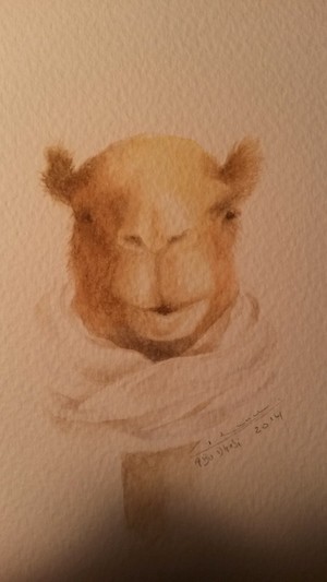 Photo grand format du tableau 'Camel'